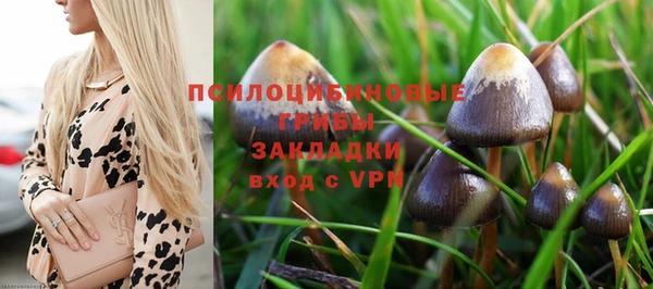 герыч Алексеевка