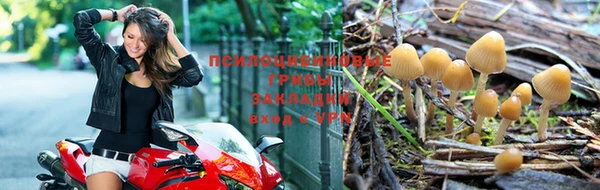 герыч Алексеевка
